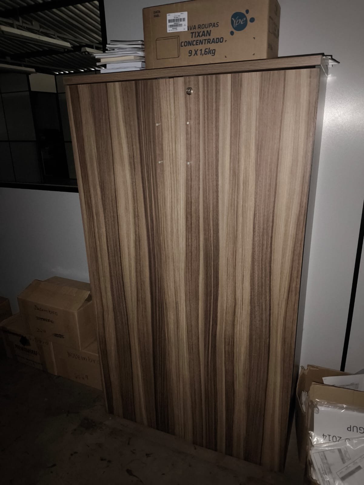 LOTE 41 - Dois armários em madeira, com 2 portas