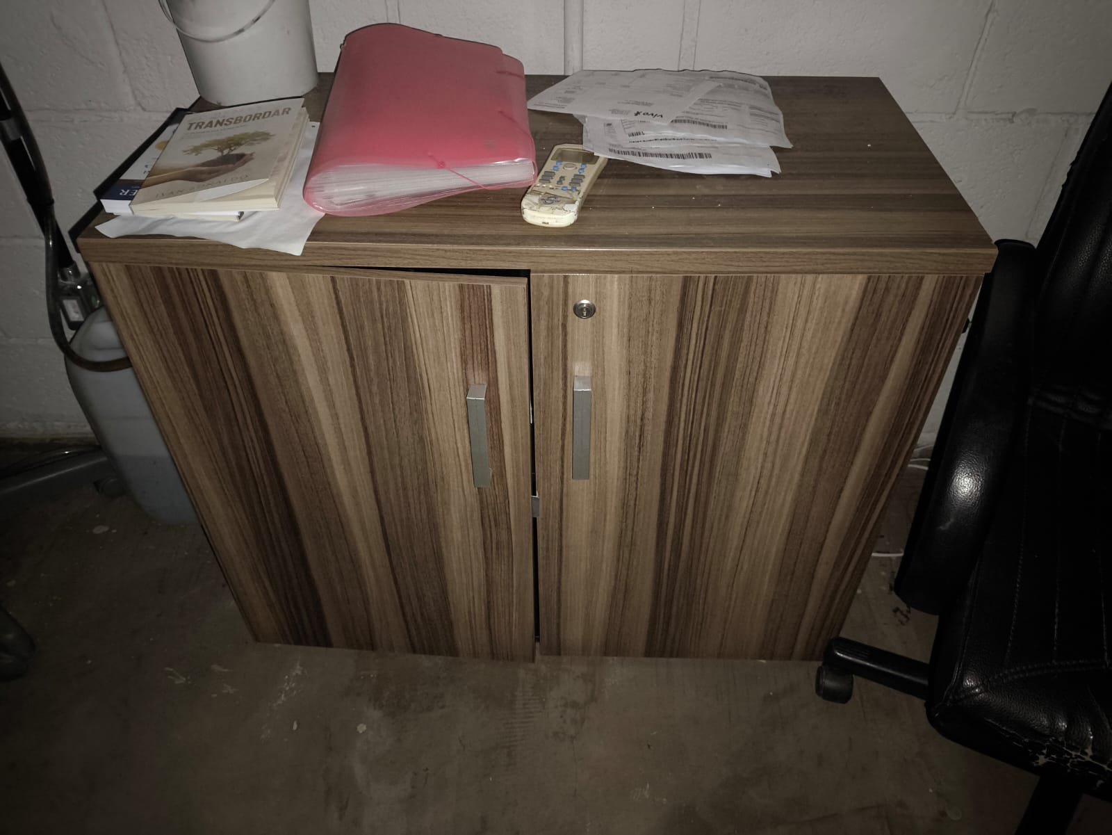 LOTE 42 - Dois armários em madeira, com 2 portas