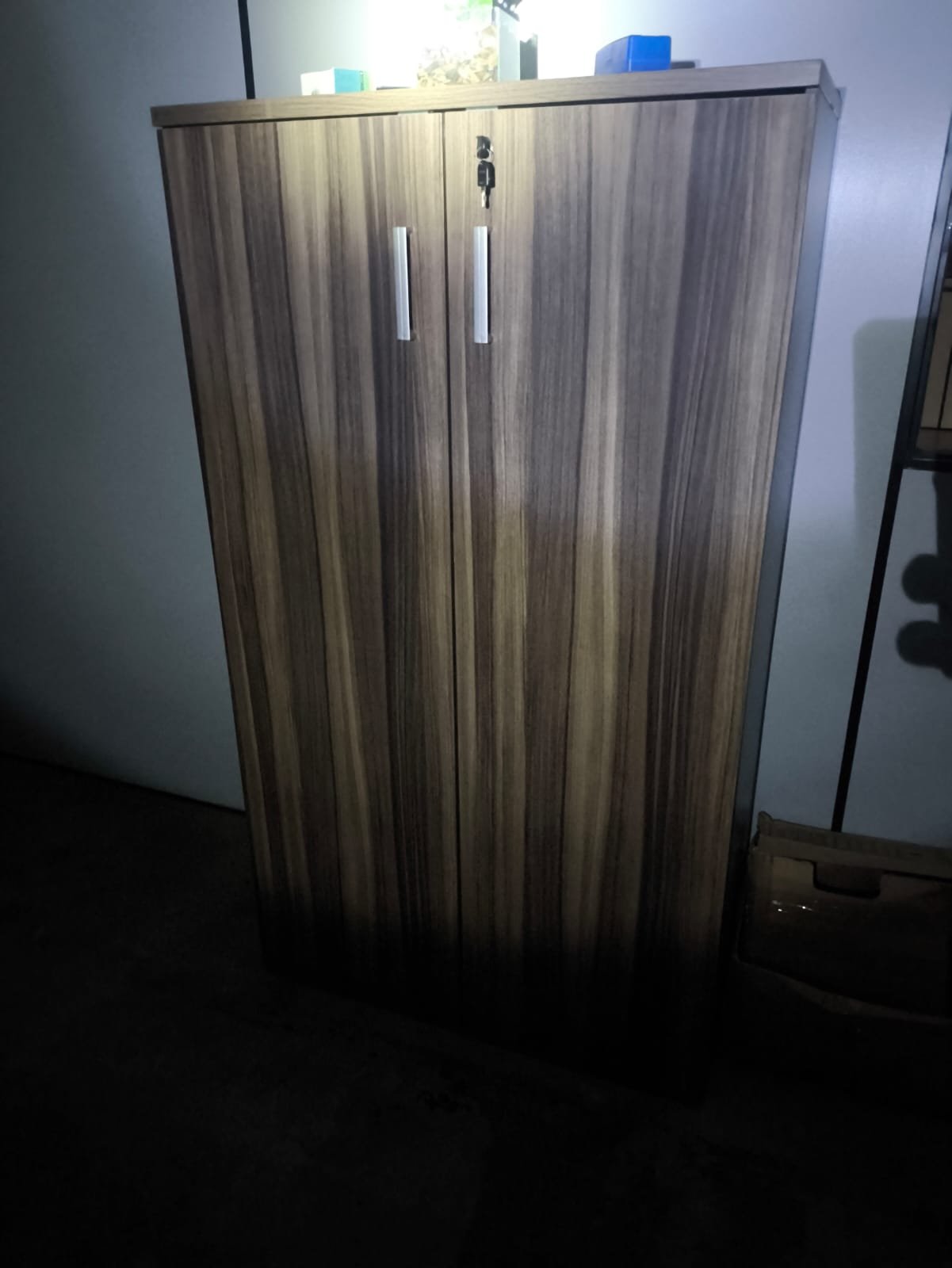 LOTE 46 - Um armário em madeira, com 2 portas